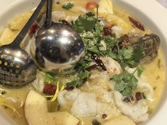-花溪雨·森林餐厅(石基店)