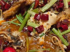 -老板恋上鱼(恒隆广场店)