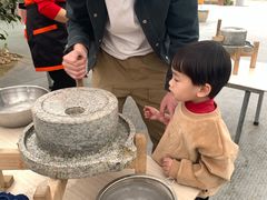 -麻涌飞鸭开心农场