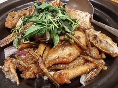 -厝包四点金·潮宴(太古仓店)