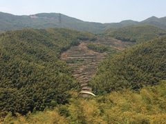 -宁波浙东大竹海景区