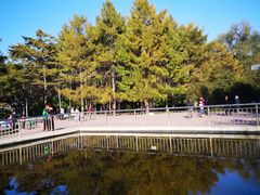 -黑龙江省森林植物园