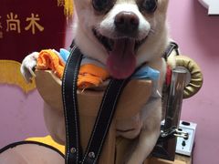 -严国平动物医院(德政总院)