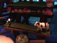 -地球美食剧场