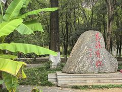 -花溪公园
