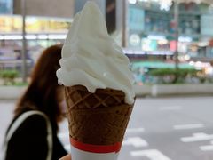 -富豪雪糕车流动点(尖沙咀)