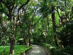 -复旦大学附属华山医院(总院)