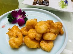-BLACKSWAN黑天鹅(环球店)