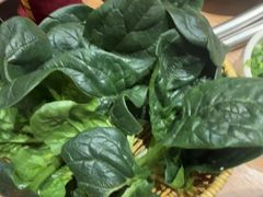 -巴奴毛肚火锅(龙湖锦艺城店)