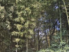 -兰亭风景区