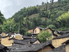 -杨家堂村