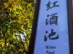 -杭州第一世界大酒店·云曼温泉
