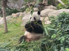 -香港海洋公园