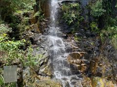 -太平山餐厅(山顶道店)