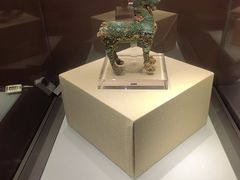 -张掖市博物馆