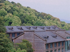 -龙坞茶村