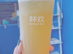 千杯不醉啤酒金凤-杯欢制茶(三里屯店)