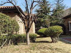 -青岛香根温泉酒店