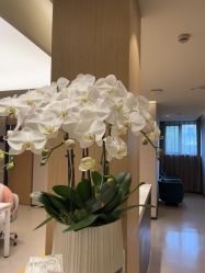 -Yestar杭州艺星医疗美容医院