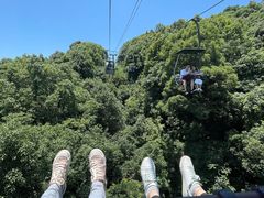 -岳麓山风景名胜区