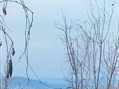 -中旅松花湖滑雪场