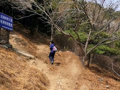 -北京鹫峰国家森林公园