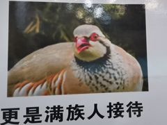 -乔家满族八大碗(流水沟店)