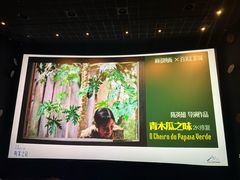 -百美汇影城(LUXE嘉里中心店)