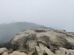 -梧桐山风景名胜区