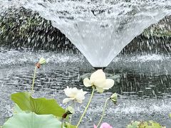 -浙江西子宾馆·瑶园咖啡厅