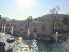 门面-香雪海