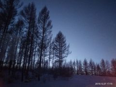 -塞罕坝国家级自然保护区