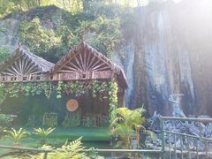 -西双版纳原始森林公园