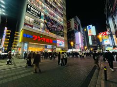 -秋叶原电器街