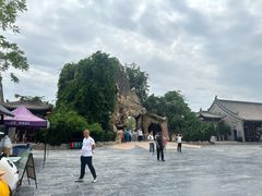 -大槐树寻根祭祖园