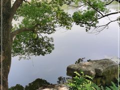 -长田漾湿地公园
