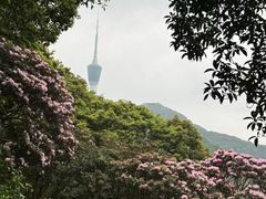 -梧桐山风景名胜区