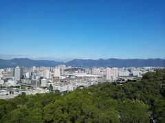 -金鸡山公园