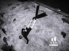 -石家庄海洋公园