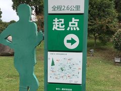 -荷塘月色湿地公园·向阳花洲