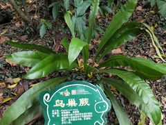 -呀诺达热带雨林
