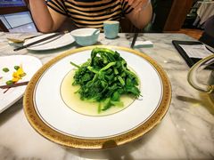 -蝶园·装修中(BFC外滩金融中心店)