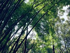 -成都杜甫草堂博物馆