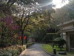 -天明山温泉大酒店
