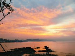 -小麦岛公园