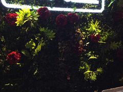 -好乐迪(紫荆广场店)
