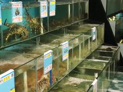 水产区-琼大师东方烤乳猪(亚特兰蒂斯店)