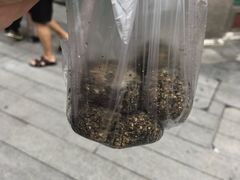 -叶氏麻糍(鼓浪屿店)