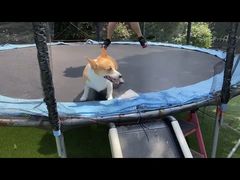 -汪说喵讲宠物乐园宠物酒店(红星美凯龙店)