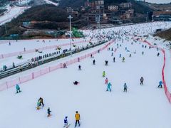 -李东农庄(中南百草园地标店)